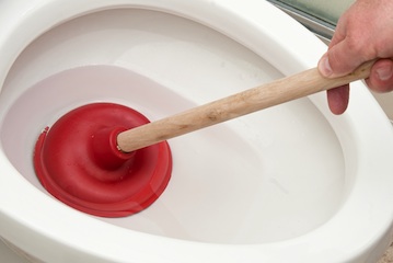 Blocked toilet? Seaview Plumbing can help.